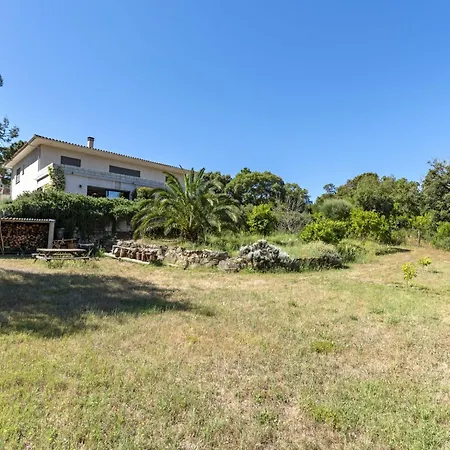 Paoli By Interhome *